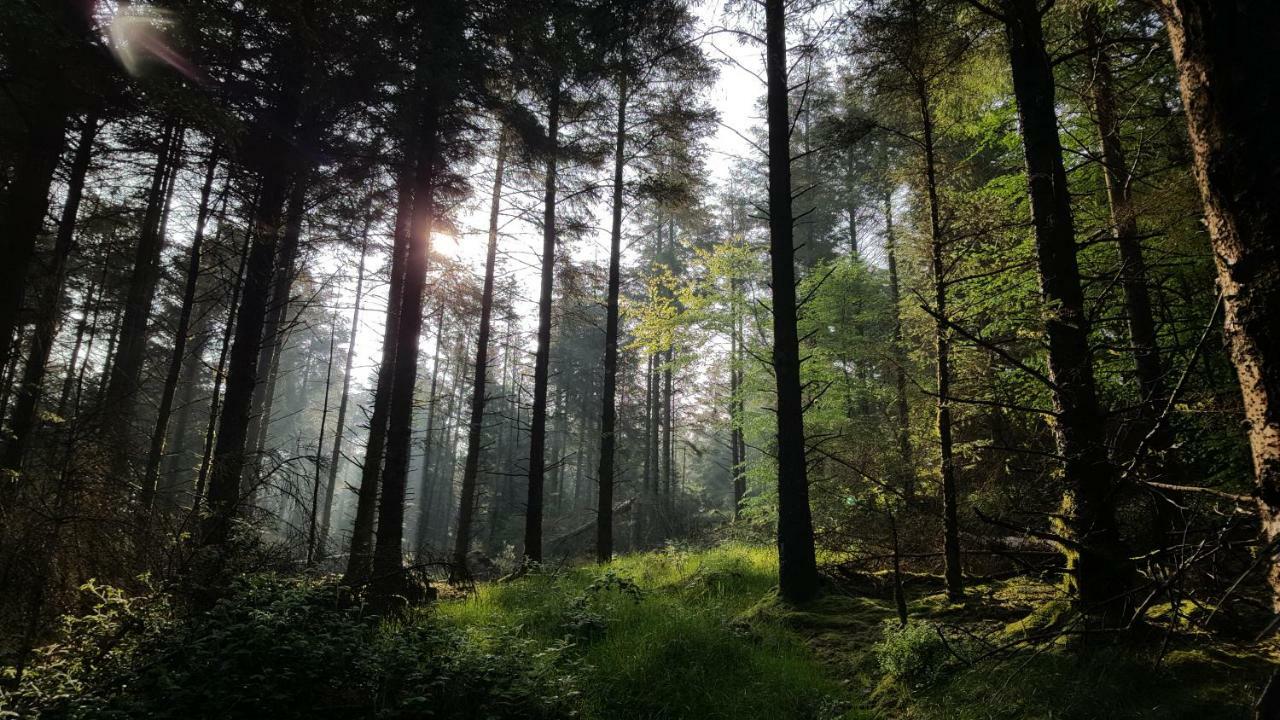 Willa Tara Hill Estate Gorey Zewnętrze zdjęcie